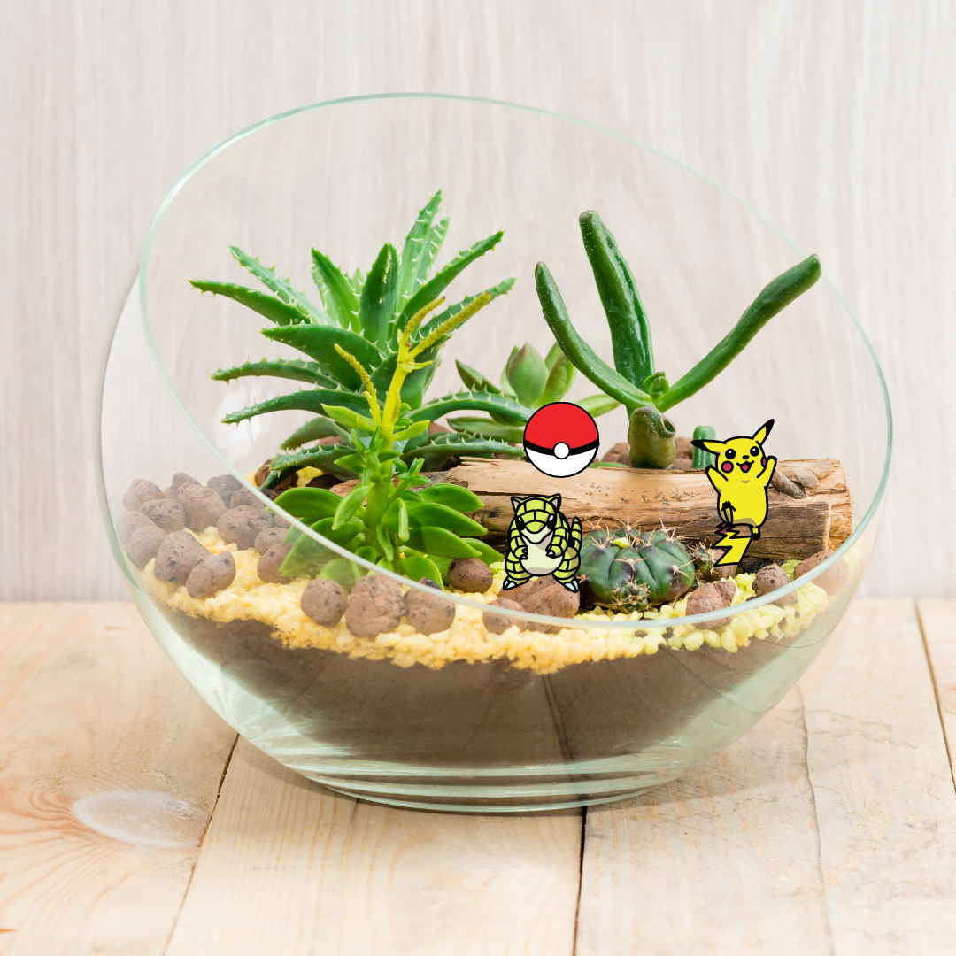 Desert terrarium with two Pokémon 