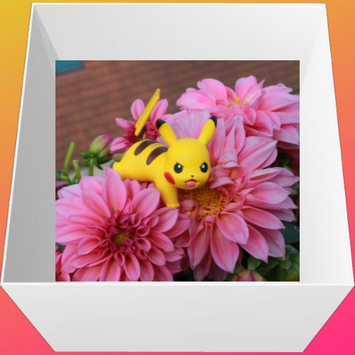 Open box containing pink flowers and a Pikachu figure