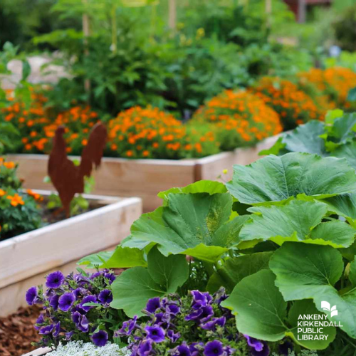 Photo of raised garden beds with a variety of plants in them