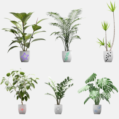Various plants in decorated pots
