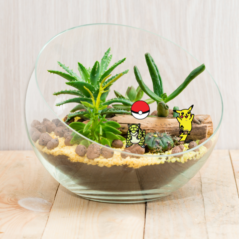 Desert terrarium with two Pokémon 