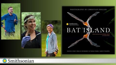 Photo of three scientists next to the book cover of Bat Island with a green gradient background