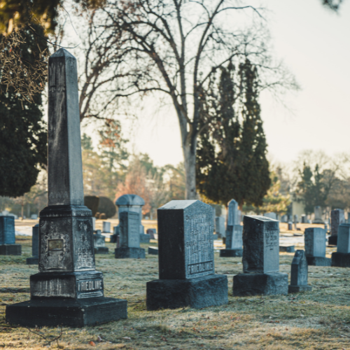 Image of a graveyard with headstones and trees in the background